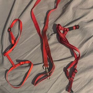 Red Cat Harness and Leash Set